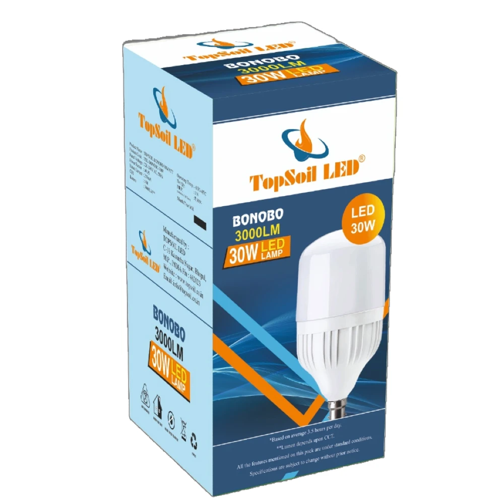 30Watt LED Bulb Box