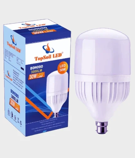 30Watt LED Bulb