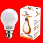 9Watt LED Bulb RED