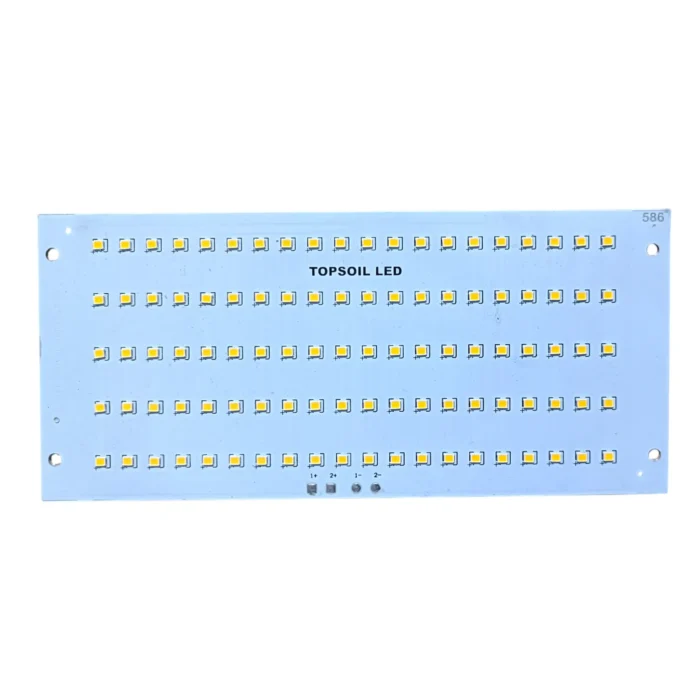 100 Watt Flood Light
