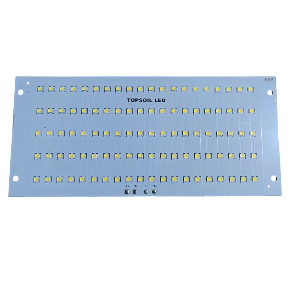 100Watt Flood Light B1 100Watt Flood Light