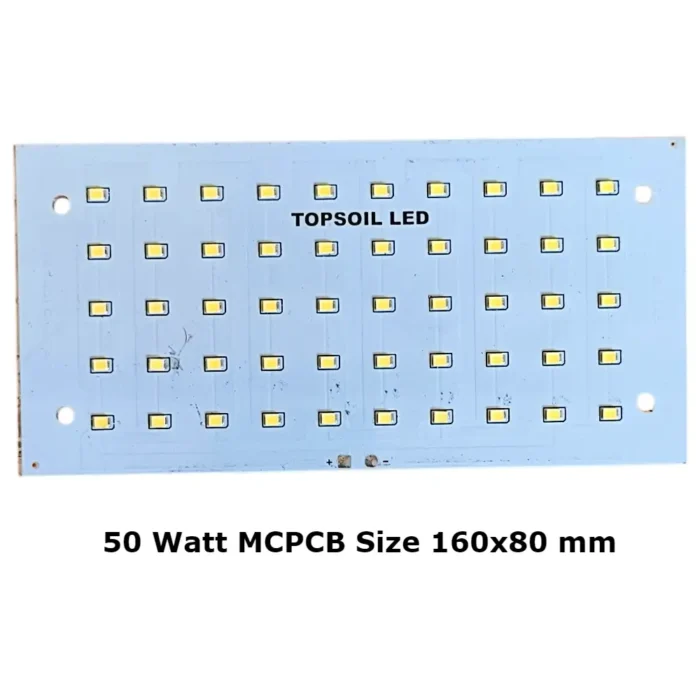 50 Watt Flood Light